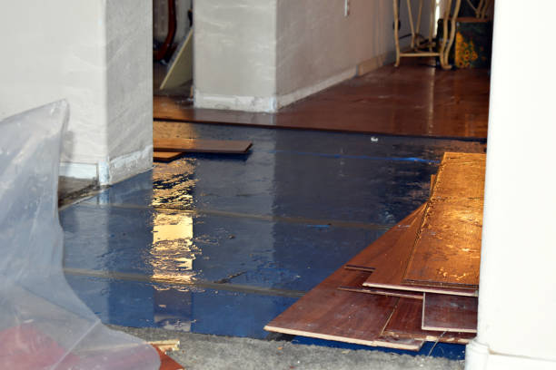 Professional Emergency Water Damage Restoration technician working in Fort Loramie, OH